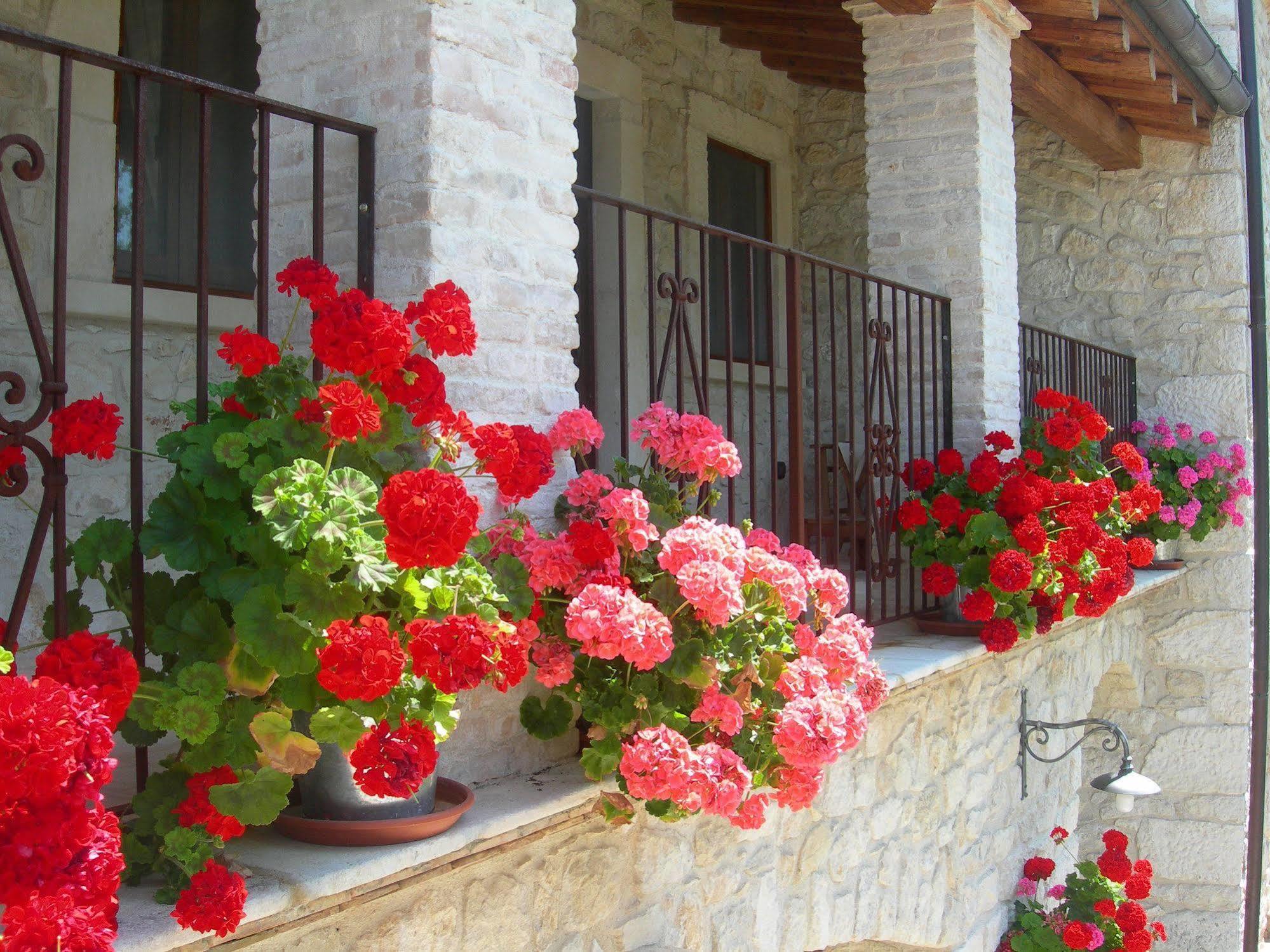 Agriturismo Borgo San Martino Abbateggio Buitenkant foto